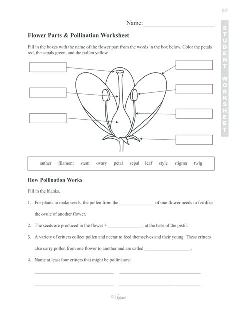 Flower parts and pollination worksheet answer key: Fill out & sign online | DocHub