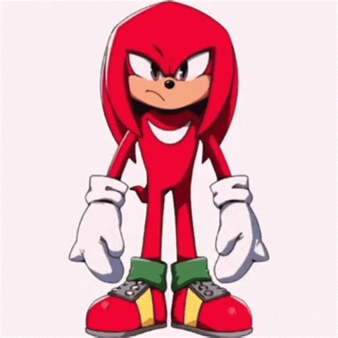 Knuckles Knuckles The Echidna GIF - Knuckles Knuckles The Echidna Echidna - Discover & Share GIFs
