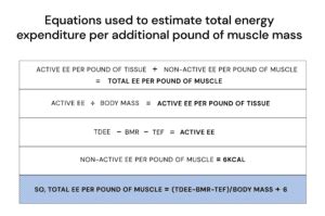 How many additional calories does each pound of muscle burn? • Stronger ...