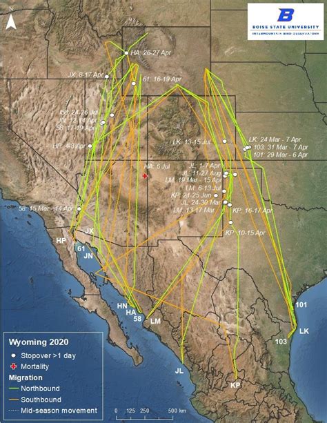 Details of Long-billed Curlew migration to and from Wyoming in 2020.... | Download Scientific ...