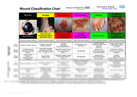 SOLUTION: Pressure Ulcer Staging Wound Classification Chart ...