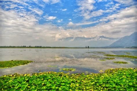 Nigeen Lake | Srinagar - What to Expect | Timings | Tips - Trip Ideas ...