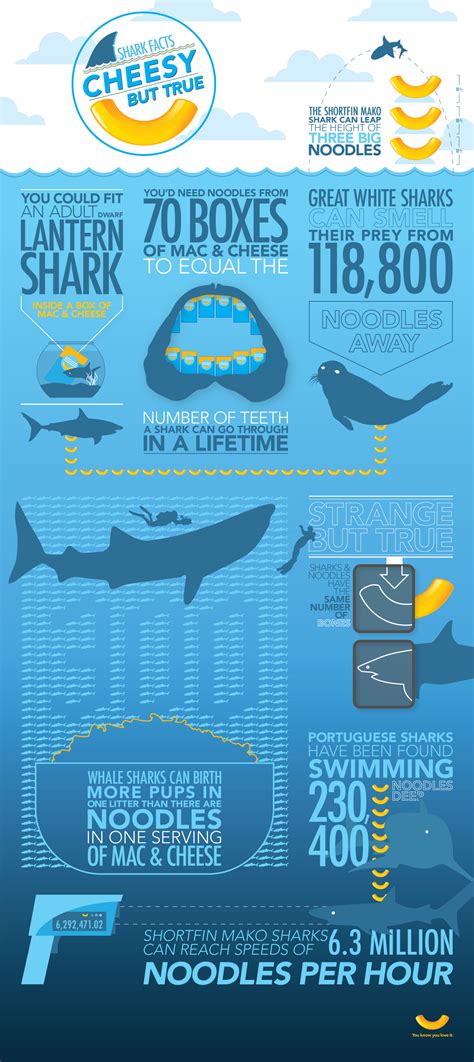 Cheesy But True Shark Week Infographic #SharkWeek | Shark week, Shark ...