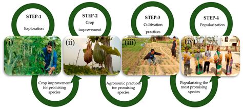 Agronomy Meaning