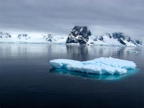 ECOSISTEMA POLAR: Características, Fauna y Flora