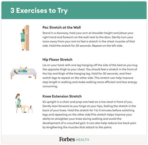 The Best Exercises For Seniors In 2024 – Forbes Health