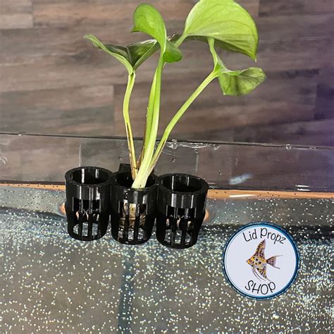 Aquaponics Aquarium Plant Holder 1 Plant Opening Great - Etsy