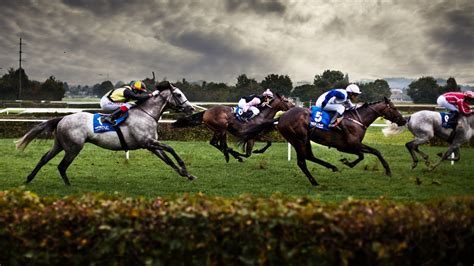 Horse Racing Wallpapers - Wallpaper Cave