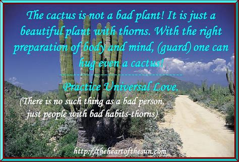 Cactus Quotes Love. QuotesGram