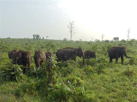 Wasgamuwa National Park | Travel Destination Sri Lanka