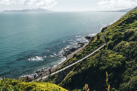 Wellington’s Best Day Hikes (and Where To Eat Along the Way)