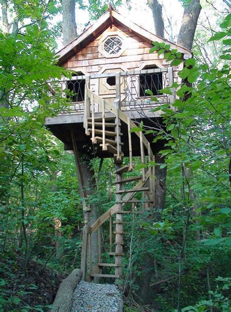 Tree House Designs And Plans Design Decorating - Image to u