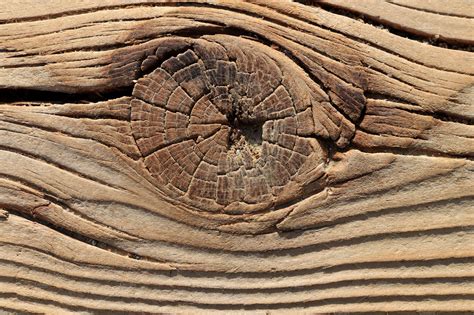 Wood knot texture | Background Stock Photos ~ Creative Market