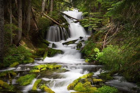 Five Beautiful Waterfalls in the Pacific Northwest | Beautiful waterfalls, Waterfall, United ...