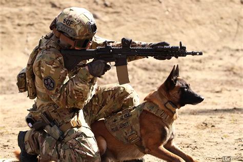 K9 Units - Custom Tailor To Your K9 Team's Needs | LOF Defense Systems