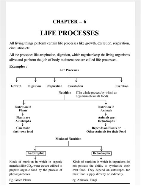 Life Process Notes 1 - Science - Notes - Teachmint