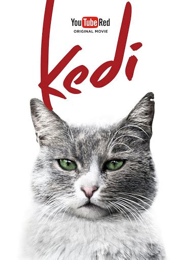 Kedi - Movies on Google Play