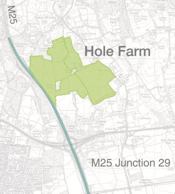 Hole Farm | Forestry England