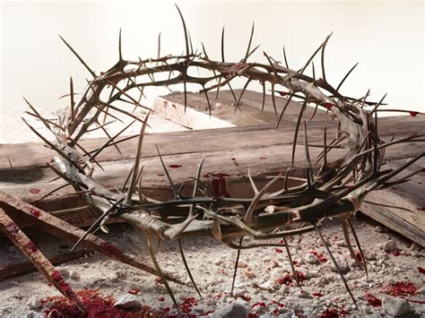 Why Did Jesus Have to Shed His Blood? Part 3