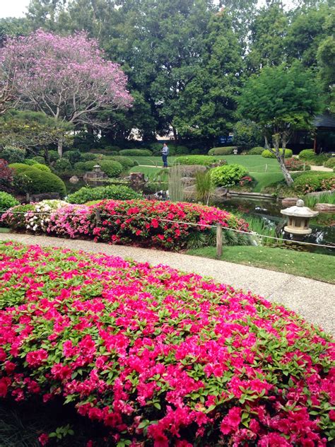 Riverside Botanic Gardens Brisbane - Beautiful Insanity