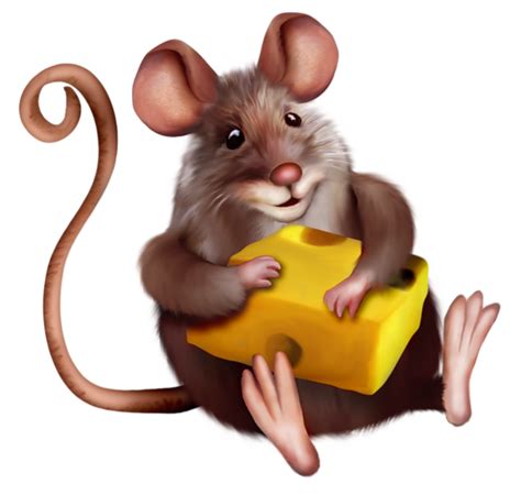 Mouse with Cheese Clipart Cartoon | Pet mice, Cat mouse, Cute animals