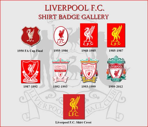 Liverpool Kit History - Champions League Shirts