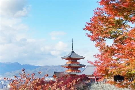 3 day Kyoto Japan fall colors autumn itinerary 🍁 Where I saw fall ...