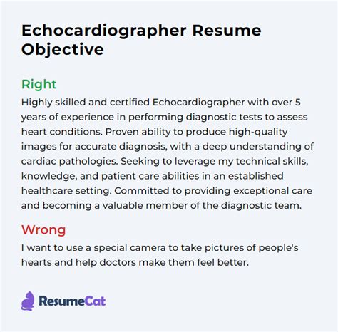 Top 17 Echocardiographer Resume Objective Examples