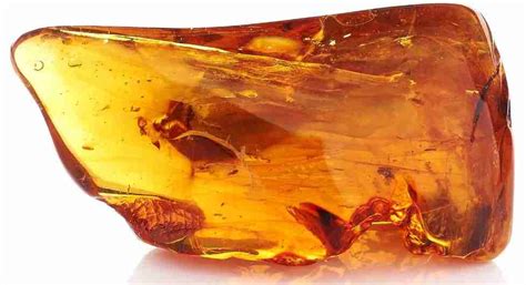 Amber Stone (Organic Healing Stone)