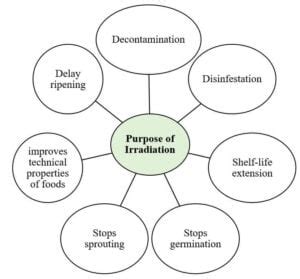 Food Irradiation: Principle of Food Preservation Technique