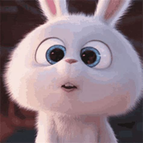 Snowball Rabbit GIF – Snowball Rabbit Cute – discover and share GIFs