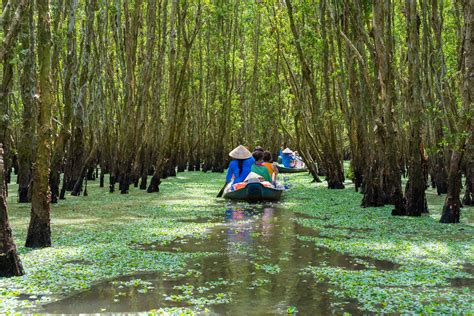 Breathtaking nature of Vietnam takes visitors on thrilling journey | Daily Sabah