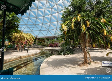 Plants on Display at the Living with the Land Boat Ride at EPCOT ...