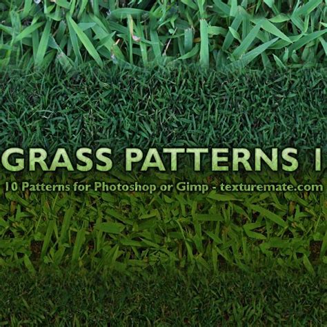 Grass Patterns 1 by AscendedArts on deviantART | Grass pattern, Photoshop design, Photoshop ...