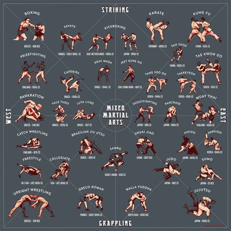 Mixed Martial Arts dark Blue: A Guide to the Major Styles of MMA Infographic on Martial Arts ...