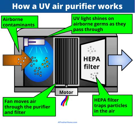 What Does UV Light Do In An Air Purifier? The Facts You Need