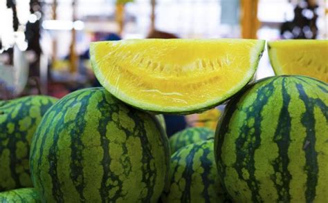 Yellow Watermelon Care - How To Grow And Harvest Yellow Crimson Watermelon