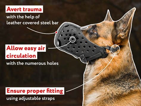 Best Leather Dog Muzzle for Attack/Agitation Training [M5###1029 Leather Muzzle for Agitation ...