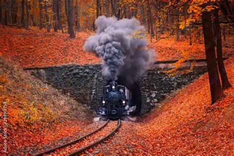 Steam-engine train coming in the autumn forest with beautiful colors and fallen leaves Stock ...