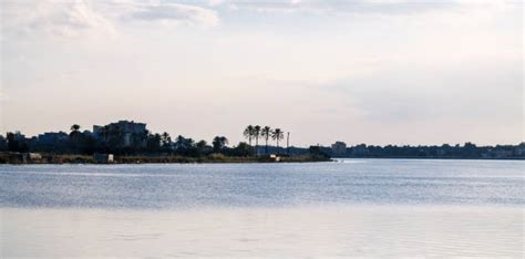 50+ Damietta Photos Stock Photos, Pictures & Royalty-Free Images - iStock