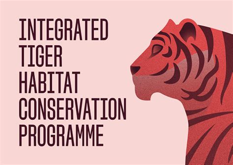 Integrated Tiger Habitat Conservation Programme - resource | IUCN