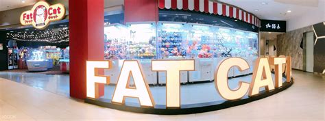 Fat Cat Arcade in Singapore