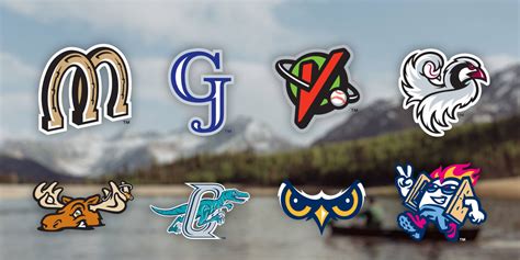 Unique facts about the eight teams of the Pioneer League | MiLB.com