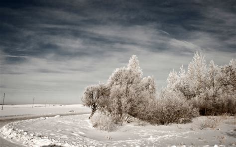 File:Winter landscape in Latvia, 2012.jpg - Wikimedia Commons