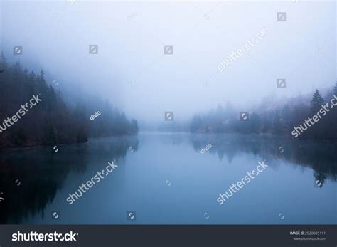 931,094 Forest reflection on lake Images, Stock Photos & Vectors | Shutterstock