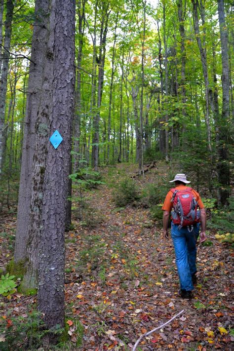 Hiking the North Country Trail near the headwaters of the West Branch ...