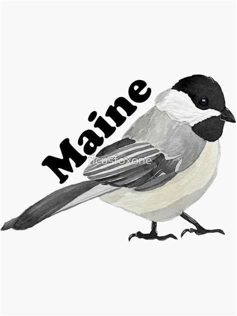 "Black-capped Chickadee State Maine Bird" Sticker for Sale by ...