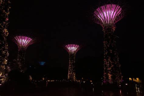 Gardens By The Bay Light Show Review - Janainataba