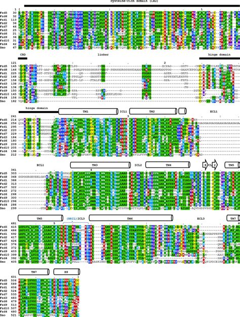 Figures and data in Structure of human Frizzled5 by fiducial-assisted cryo-EM supports a ...