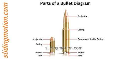 5 Parts of a Bullet: Exploring the anatomy with Names & Diagram